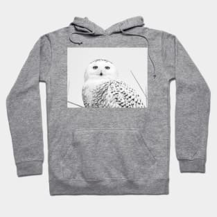 Snowy Owl Hoodie